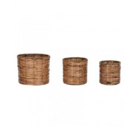 Set di vasi da fiori Home ESPRIT Marrone Metallo Rattan Tropicale 31 x 31 x 27 cm