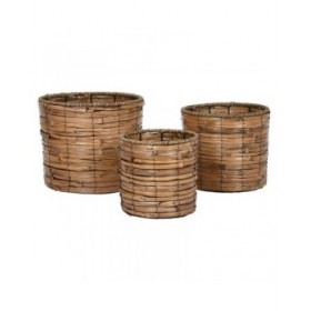 Set di vasi da fiori Home ESPRIT Marrone Metallo Rattan Tropicale 31 x 31 x 27 cm