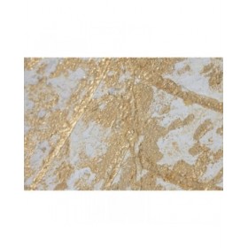 Quadro Home ESPRIT Bianco Dorato Tela Legno MDF Moderno Foglia della pianta 82 x 4,5 x 82 cm (2 Unità)
