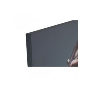 Quadro Home ESPRIT Stampato Moderno 80 x 3 x 120 cm (2 Unità)