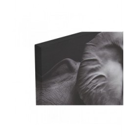 Quadro Home ESPRIT Stampato Moderno 120 x 3 x 80 cm (2 Unità)