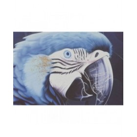 Quadro Home ESPRIT Azzurro Nero Dorato Pappagallo Tropicale 83 x 4 x 123 cm (2 Unità)