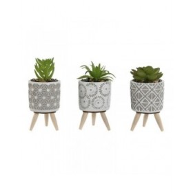 Pianta Decorativa Home ESPRIT Polietilene Cemento 6,5 x 6,5 x 11 cm (3 Unità)