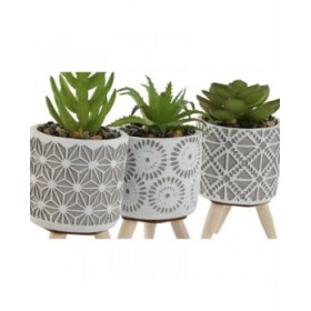 Pianta Decorativa Home ESPRIT Polietilene Cemento 6,5 x 6,5 x 11 cm (3 Unità)