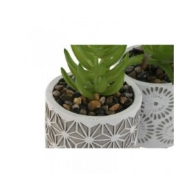 Pianta Decorativa Home ESPRIT Polietilene Cemento 6,5 x 6,5 x 11 cm (3 Unità)