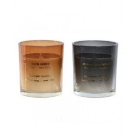 Candela Profumata Home ESPRIT Gelsomino Moderno (2 Unità)