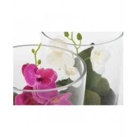 Pianta Decorativa Home ESPRIT PVC Cristallo 15 x 15 x 20 cm (2 Unità)