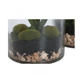 Pianta Decorativa Home ESPRIT PVC Cristallo 15 x 15 x 20 cm (2 Unità)