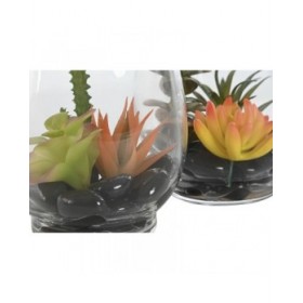 Pianta Decorativa Home ESPRIT PVC Cristallo 10 x 10 x 15 cm (2 Unità)