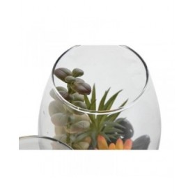 Pianta Decorativa Home ESPRIT PVC Cristallo 10 x 10 x 15 cm (2 Unità)