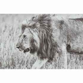Quadro DKD Home Decor 92,5 x 3,5 x 32 cm Coloniale Giungla (3 Pezzi)