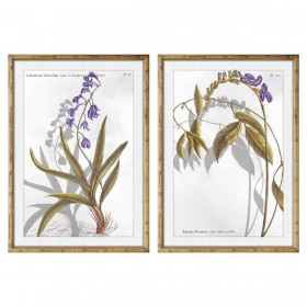 Quadro DKD Home Decor 50 x 2 x 70 cm Moderno Piante botaniche (2 Unità)