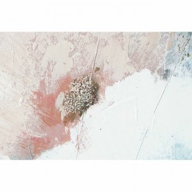 Quadro DKD Home Decor 120 x 3,5 x 80 cm Fiori Shabby Chic (3 Pezzi)