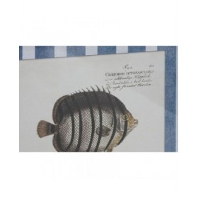 Quadro Home ESPRIT Azzurro Pesce 40 X 2,5 X 55 cm (4 Unità)