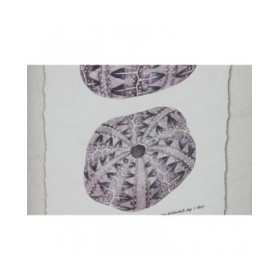 Quadro Home ESPRIT Corallo 35 x 2 x 45 cm (9 Unità)
