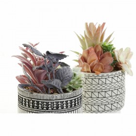Pianta Decorativa DKD Home Decor Cactus Resina Polietilene 11 x 11 x 21 cm (2 Unità)