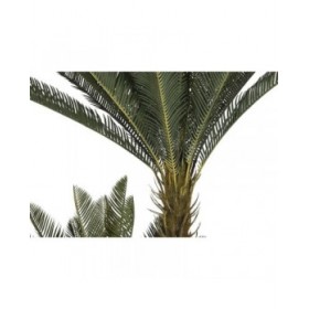 Pianta Decorativa Home ESPRIT Polietilene Tropicale 80 x 80 x 170 cm