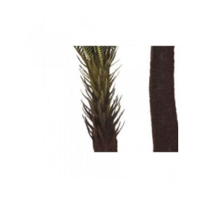 Pianta Decorativa Home ESPRIT Polietilene Tropicale 80 x 80 x 170 cm