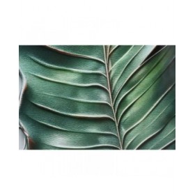 Quadro Home ESPRIT Verde Palme Tropicale 80 x 3,5 x 120 cm (2 Unità)