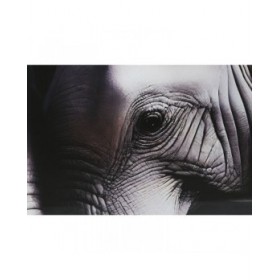 Quadro Home ESPRIT Nero Grigio Stampato 150 x 0,4 x 100 cm