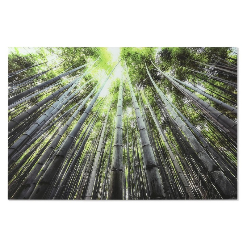 Quadro Home ESPRIT Verde Stampato 150 x 0,4 x 100 cm