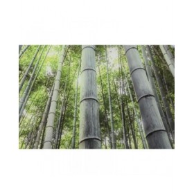 Quadro Home ESPRIT Verde Stampato 150 x 0,4 x 100 cm