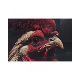 Quadro Home ESPRIT Nero Animale Loft Laccato 64 x 4,5 x 84 cm (4 Unità)