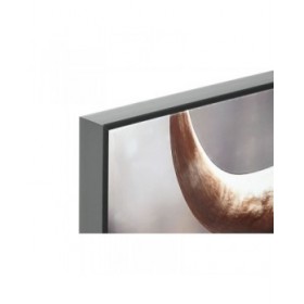 Quadro Home ESPRIT Nero Dorato Moderno Toro Laccato 100 x 4 x 100 cm (2 Unità)