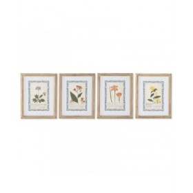 Quadro Home ESPRIT Shabby Chic Piante botaniche 40 x 2,5 x 50 cm (4 Unità)