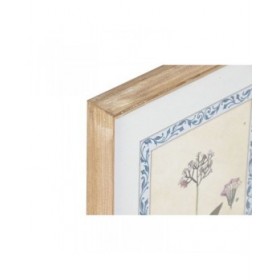 Quadro Home ESPRIT Shabby Chic Piante botaniche 40 x 2,5 x 50 cm (4 Unità)