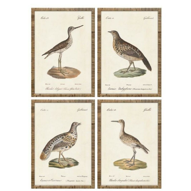 Quadro Home ESPRIT Beige Uccelli Cottage 40 x 2,5 x 50 cm (4 Unità)