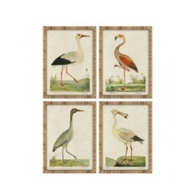Quadro Home ESPRIT Beige Uccelli Tradizionale 50 x 2,5 x 40 cm (4 Unità)