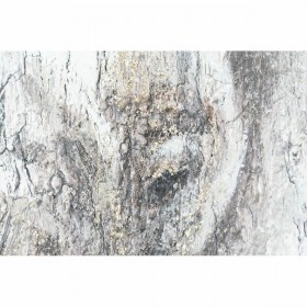 Set di 2 quadri DKD Home Decor Elefante Coloniale 120 x 3,7 x 120 cm