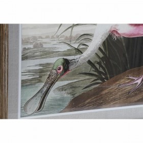 Quadro DKD Home Decor 60 x 2,5 x 60 cm Uccello Orientale (4 Pezzi)