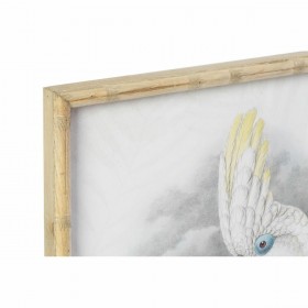 Quadro DKD Home Decor 50 x 2,8 x 70 cm Coloniale Pappagallo (2 Unità)