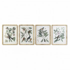 Quadro DKD Home Decor 50 x 2,5 x 65 cm Shabby Chic Piante botaniche (4 Pezzi)