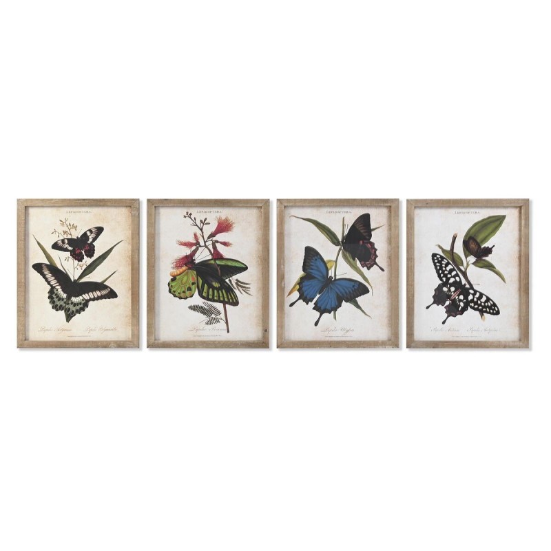 Quadro DKD Home Decor Farfalle 40 x 2 x 50 cm Shabby Chic (4 Pezzi)