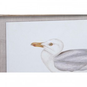 Quadro DKD Home Decor 70 x 2,5 x 50 cm Tradizionale Uccelli (6 Pezzi)