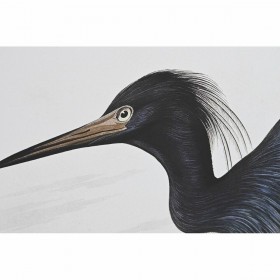 Quadro DKD Home Decor 63 x 4 x 93 cm Uccello Orientale (2 Unità)