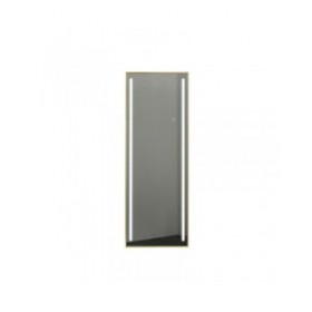 Specchio spogliatoio Home ESPRIT Dorato Alluminio 60 x 5 x 165 cm