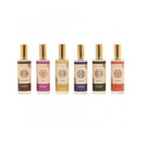 Deodorante per Ambienti Home ESPRIT 100 ml (6 Unità)
