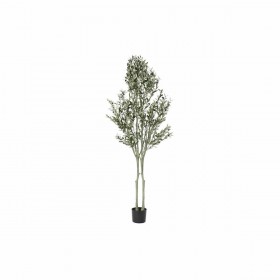 Albero DKD Home Decor Poliestere polipropilene Ulivo 80 x 80 x 180 cm (80 x 80 x 180 cm)