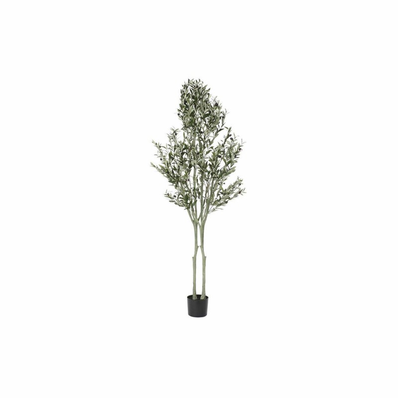 Albero DKD Home Decor Poliestere polipropilene Ulivo 80 x 80 x 180 cm (80 x 80 x 180 cm)