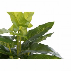 Pianta Decorativa DKD Home Decor PVC polipropilene 25 x 25 x 30 cm