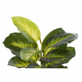 Pianta Decorativa DKD Home Decor PVC polipropilene 25 x 25 x 30 cm