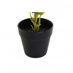 Pianta Decorativa DKD Home Decor PVC polipropilene 25 x 25 x 30 cm