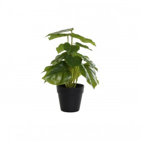 Pianta Decorativa DKD Home Decor PVC polipropilene 20 x 20 x 30 cm