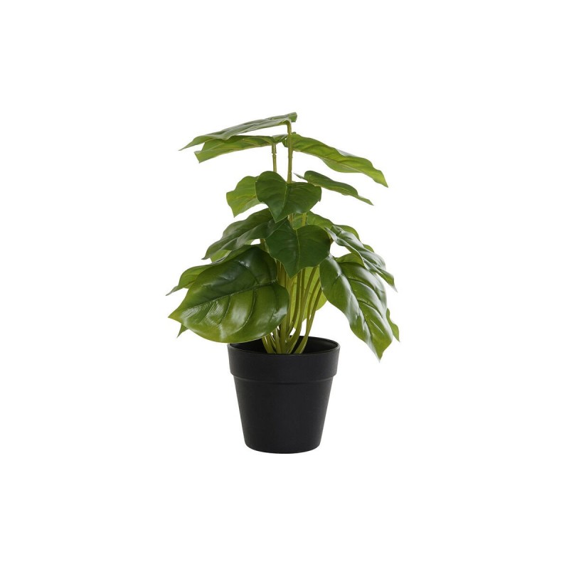 Pianta Decorativa DKD Home Decor PVC polipropilene 20 x 20 x 30 cm