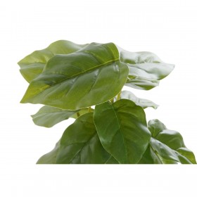 Pianta Decorativa DKD Home Decor PVC polipropilene 20 x 20 x 30 cm