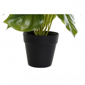 Pianta Decorativa DKD Home Decor PVC polipropilene 20 x 20 x 30 cm